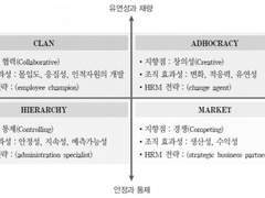 조직문화, 퀸의 경쟁가치모형, 밀러 조직쇠퇴, 샤인의 인공물, 파스칼-피터스의 7S, 코터-헤스켓의 적응적 문화