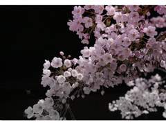 [마녀의 종말] 로그백업