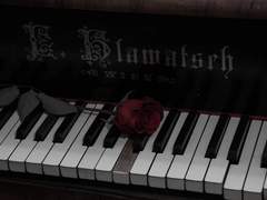 화[過]. 유토피아 거주자. 여성[女]