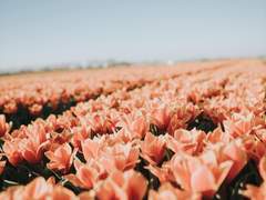 다들 안 아프게 해주세요