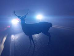 CILF: Captain I’d Like to Fuck 15