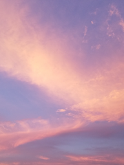 최후의 사랑이 향하는 곳