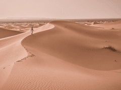 추도사를 읊노니