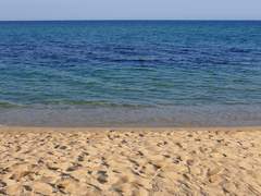 갑작스러운 평화 01 : 재회