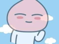 페이팔 잔금 → 와이즈(구-트렌스퍼와이즈)으로 옮기기 <중>