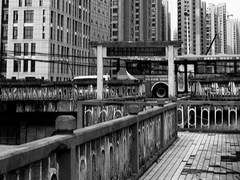 신 지원 | XY | 28