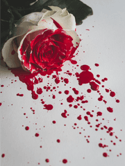 그러니 그 누구도 용서하지 않는다.