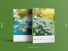 NO.15 Daisy In The Water