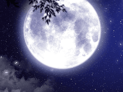 푸른 불꽃은 차분하나 가장 뜨겁다