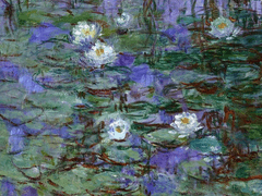 다정의 발자취를 찾아서