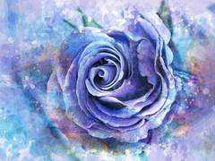 흐릿한 회색의 감정