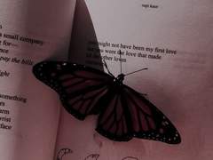 이별은 새 만남을 기약하기에