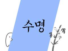 수명