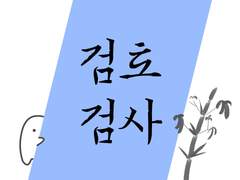검토/검사