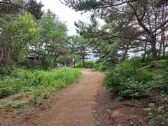 통장이 불어나는 걸 상상하며 걷자