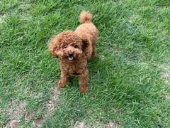 비오는날 조심할 것