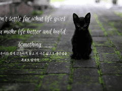 Louis Olga Carpo / Hufflepuff