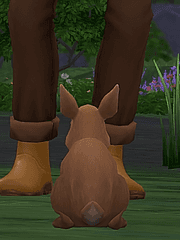 토끼 키우기 일지