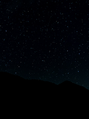 슬기로운 퇴마생활