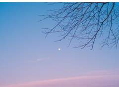 [망기무선] 사시장춘(四時長春) 9