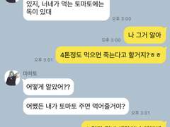 주술회전 카피페