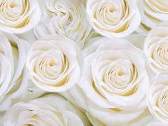 [중혁독자] 서바이벌 러브게임 06