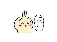 눈부시게 투명한 낮을 걷고싶어