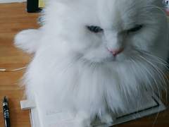 내향인 집사의 글쓰기 3일차