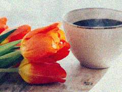 [금영영인] 좋은 아침