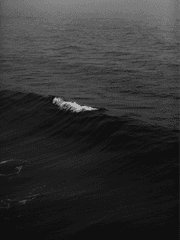 광마회귀 덕질 백업용