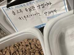 카즈토라, 고양이들 밥 챙겨주는데 드림주랑 만남 (단편)