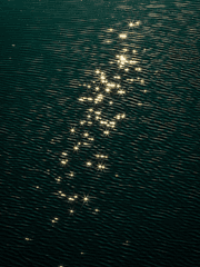 [코난] 그들의 이야기