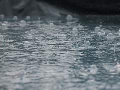 [중혁독자] 낙서