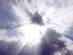 그러나 그 빛은 내 것이 아니었다