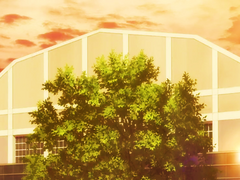 06. 첫날부터 연습경기에 가게 되었다