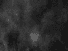 [스팁레오] 레오의 스토커