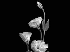 𝔭𝔯𝔬𝔣𝔦𝔩𝔢