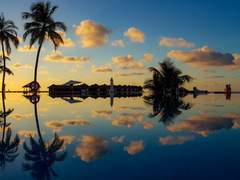 한 여름 밤의 꿈