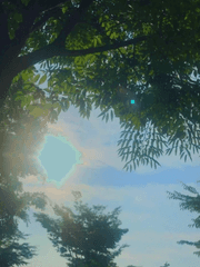 설하고등학교 2기