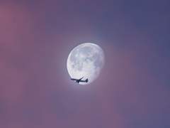 문우연 - 한연우 한소 백업