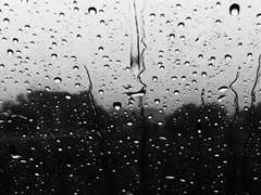 비 오는 밤의 손님