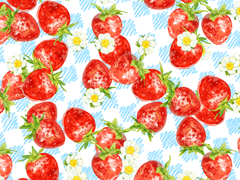 랄미 딸기 브러쉬