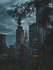 [명탐정 코난] 암흑의 저격수