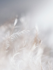 신비로운 여행-단편-