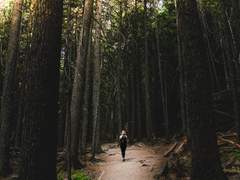 [다이케이] 기억을 걷다 (1)