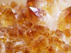 피르텔 루아 | 유토피아 거주자 | XX