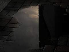 드림주- 레이첼 가드너