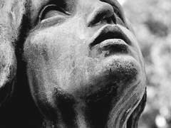 무구한 신뢰심은 죄의 원천인가