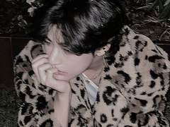 고양이가 울었다