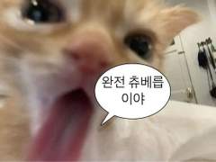 [BL리뷰]여름하면 생각나는 학원물 추천